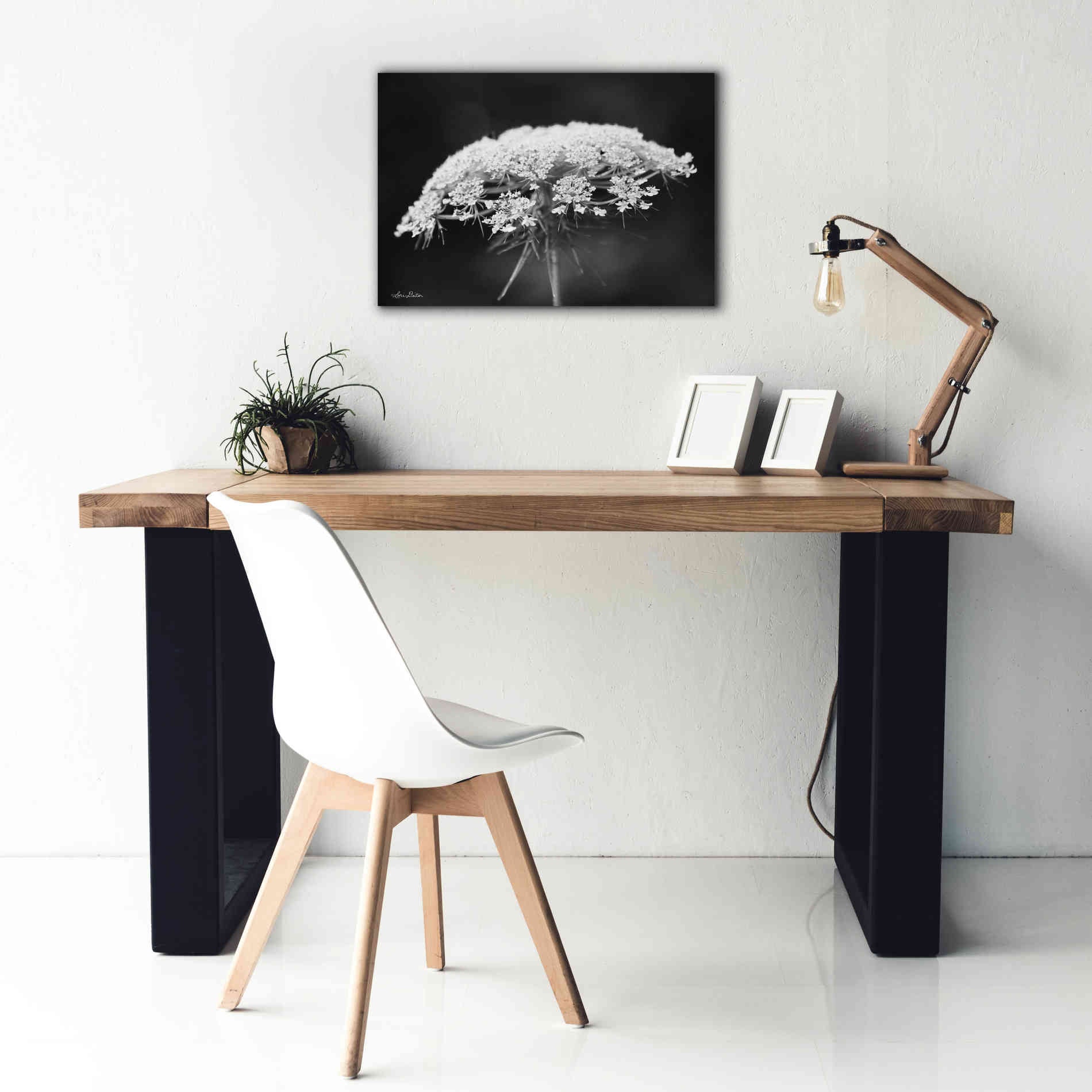 'Queen Anne's Lace' by Lori Deiter, Canvas Wall Art,26 x 18