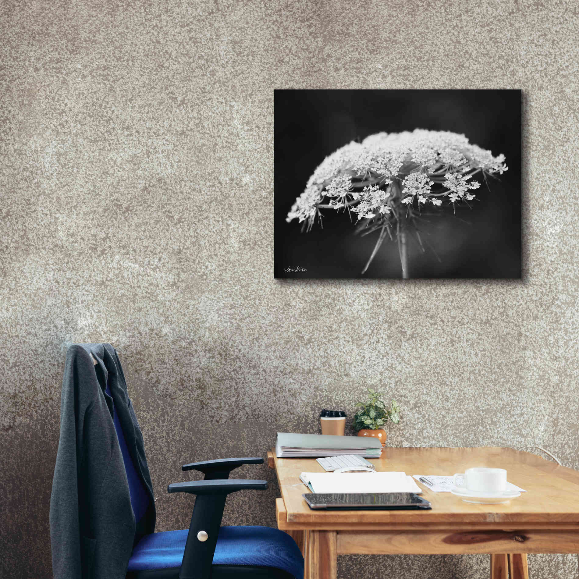 'Queen Anne's Lace' by Lori Deiter, Canvas Wall Art,34 x 26