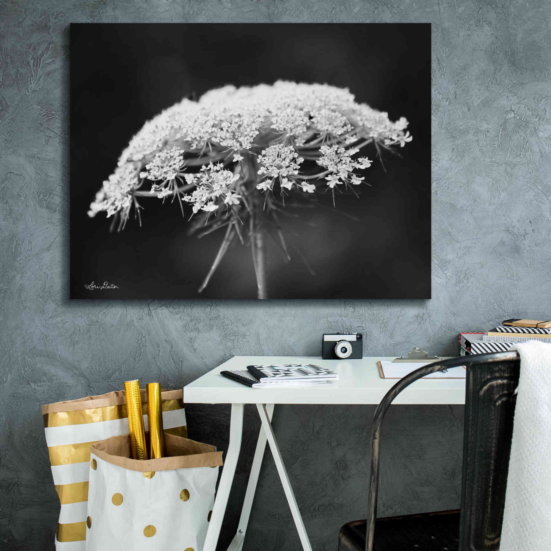 'Queen Anne's Lace' by Lori Deiter, Canvas Wall Art,34 x 26
