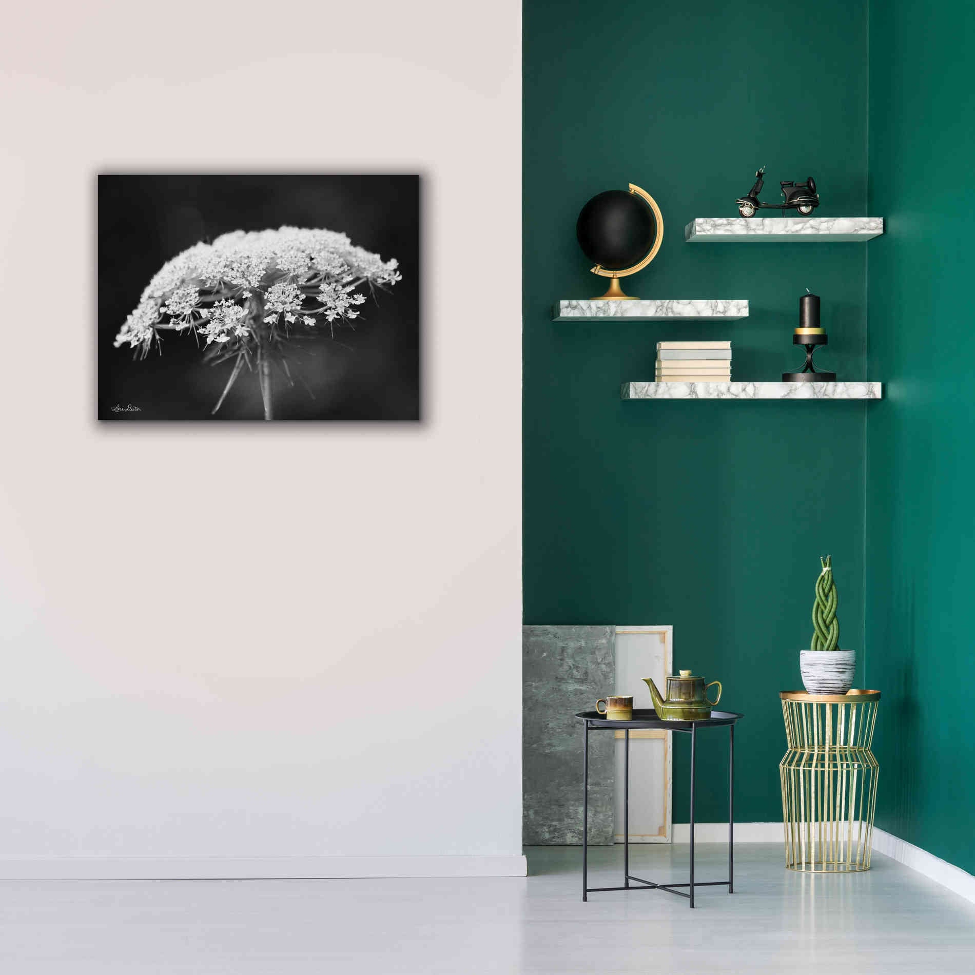 'Queen Anne's Lace' by Lori Deiter, Canvas Wall Art,34 x 26