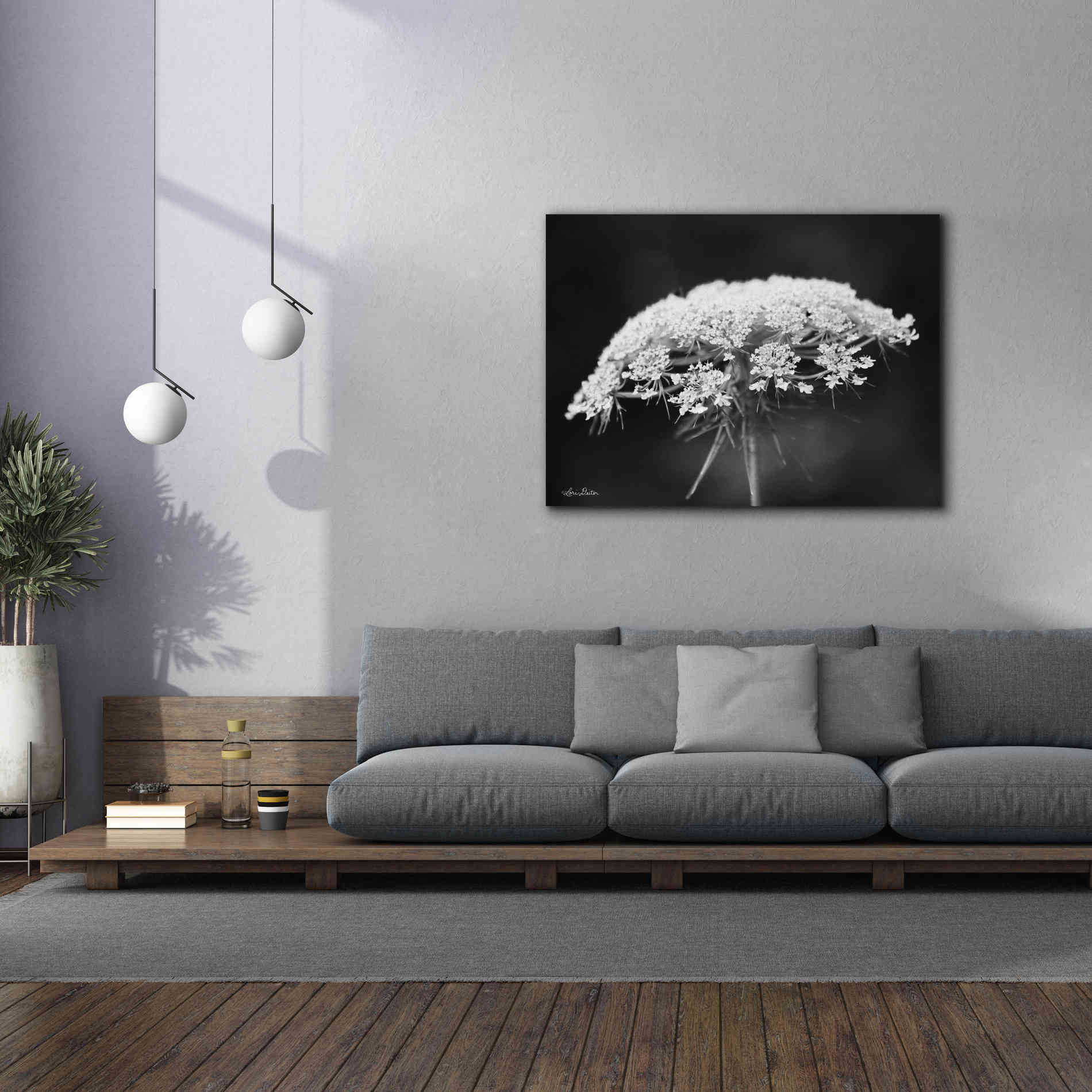 'Queen Anne's Lace' by Lori Deiter, Canvas Wall Art,54 x 40