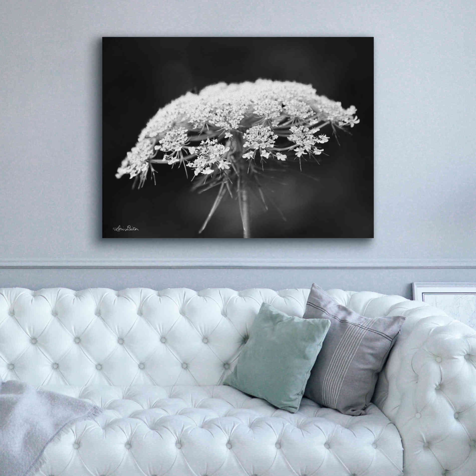 'Queen Anne's Lace' by Lori Deiter, Canvas Wall Art,54 x 40
