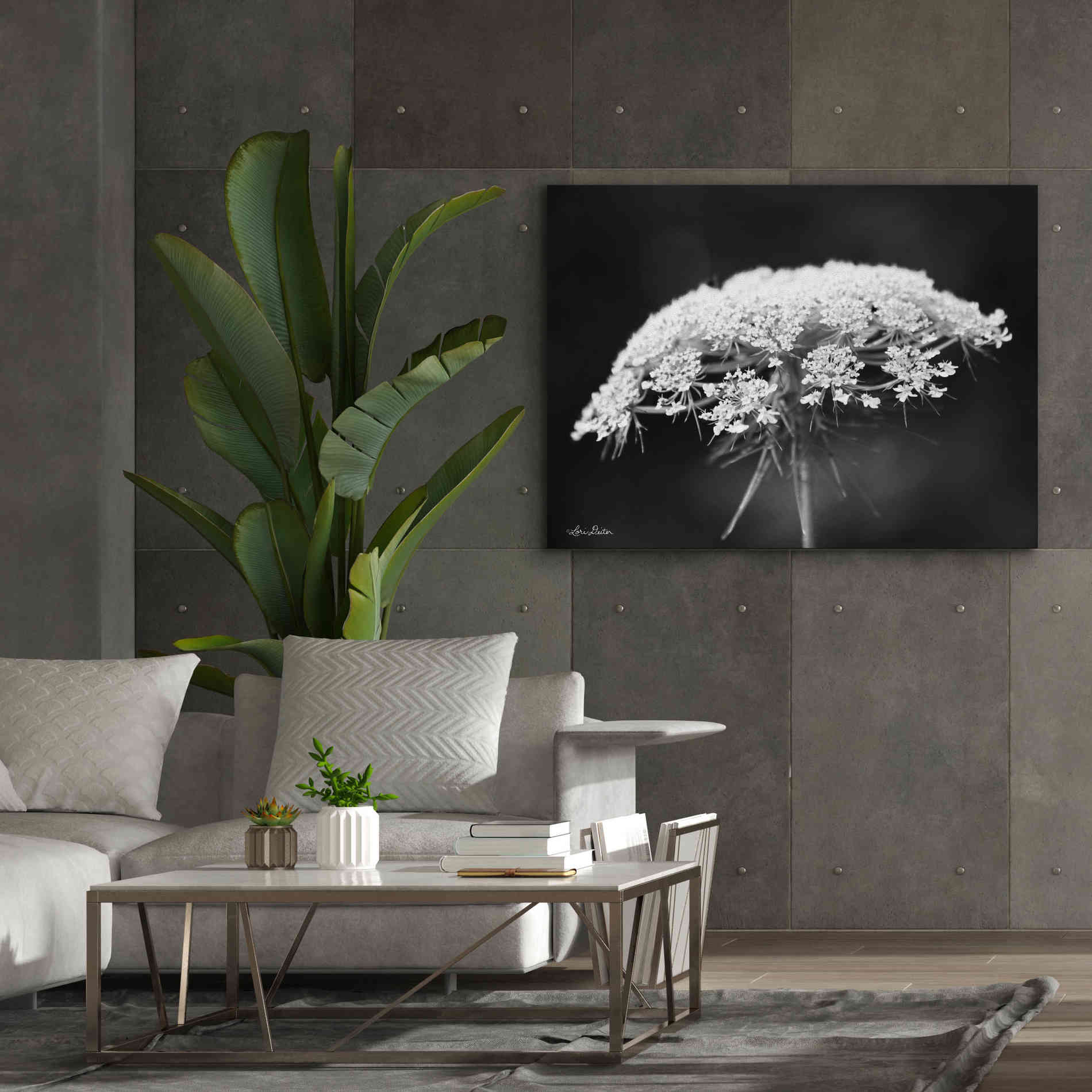 'Queen Anne's Lace' by Lori Deiter, Canvas Wall Art,54 x 40
