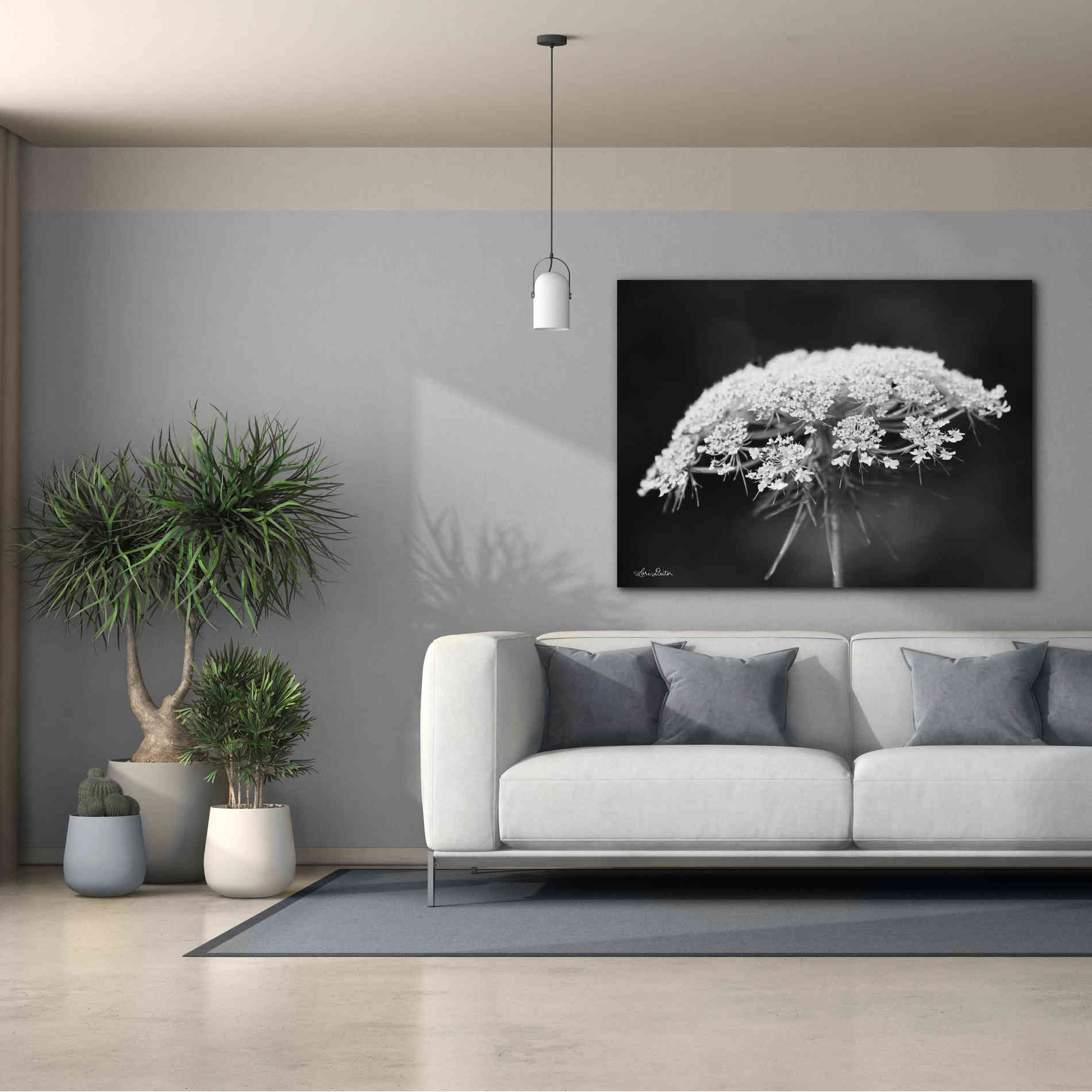 'Queen Anne's Lace' by Lori Deiter, Canvas Wall Art,54 x 40