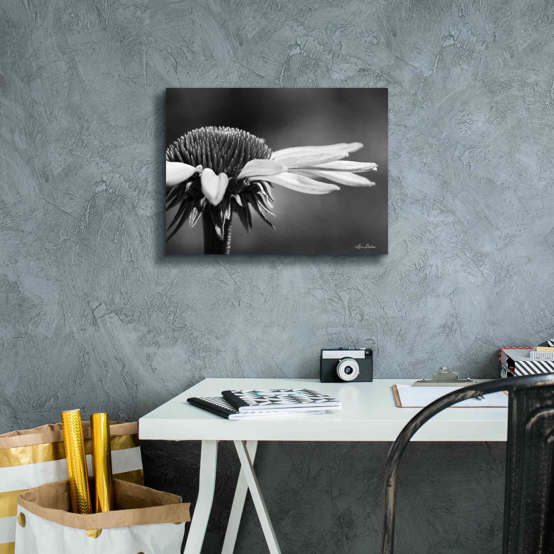 'Coneflower' by Lori Deiter, Canvas Wall Art,16 x 12