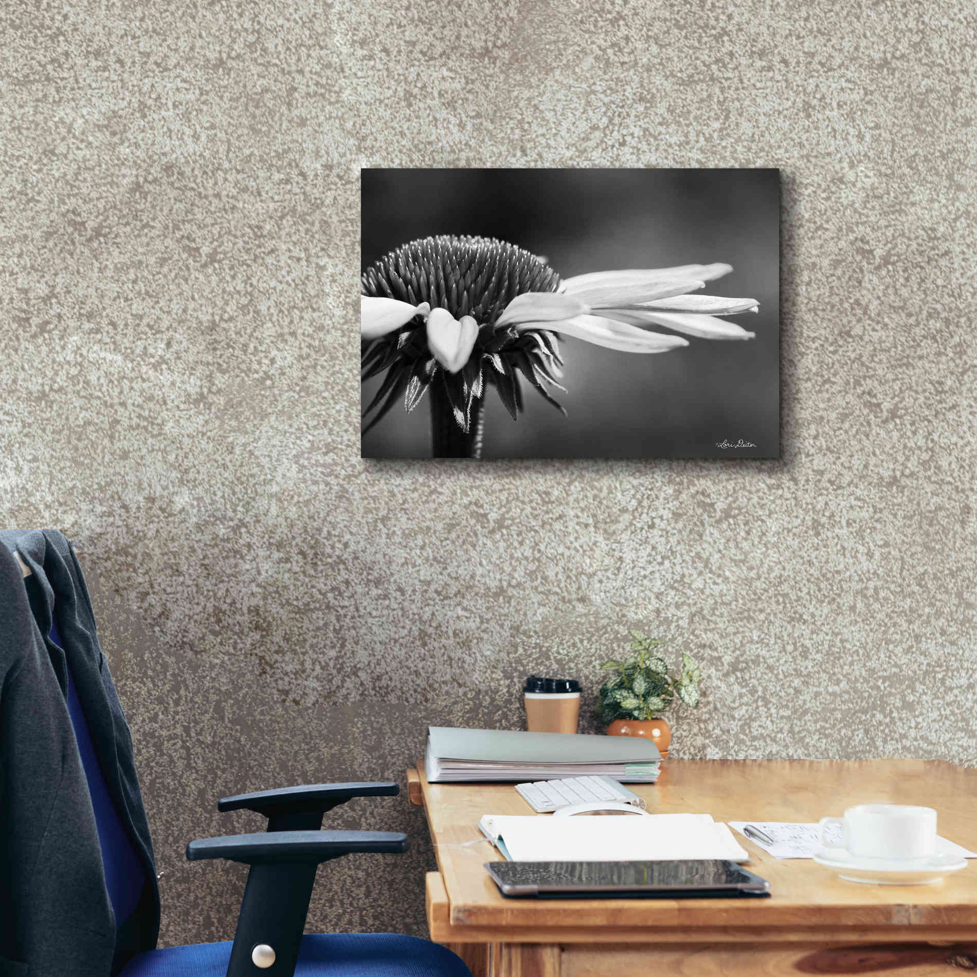 'Coneflower' by Lori Deiter, Canvas Wall Art,26 x 18