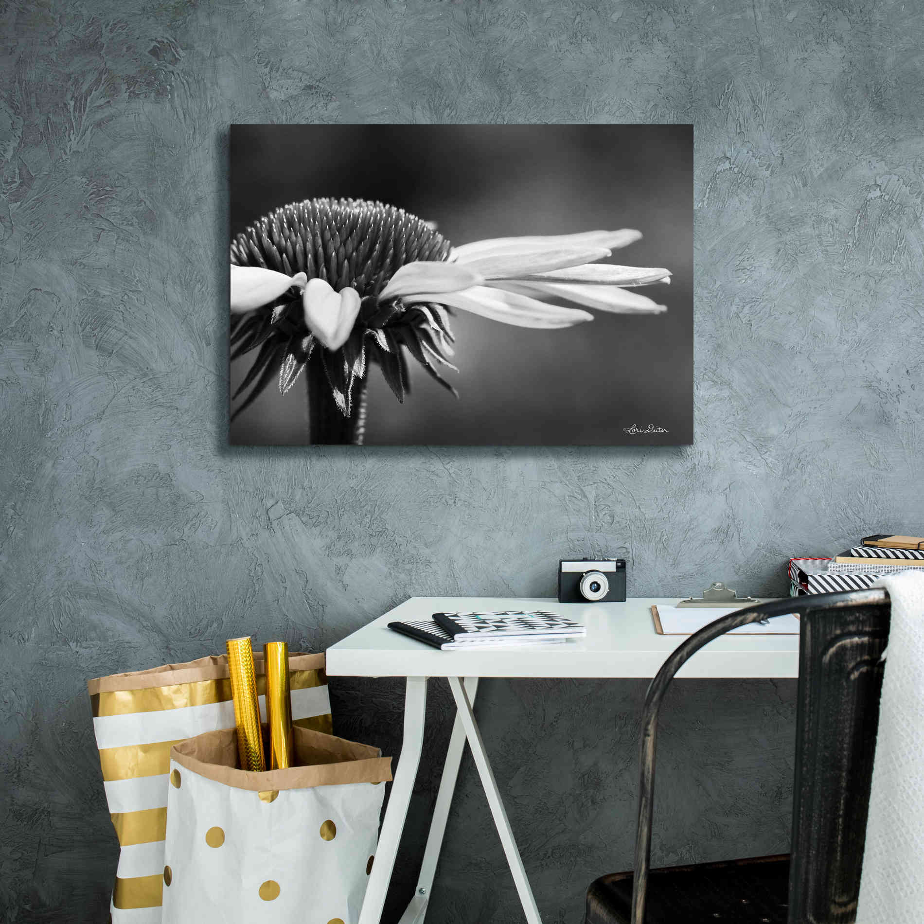 'Coneflower' by Lori Deiter, Canvas Wall Art,26 x 18