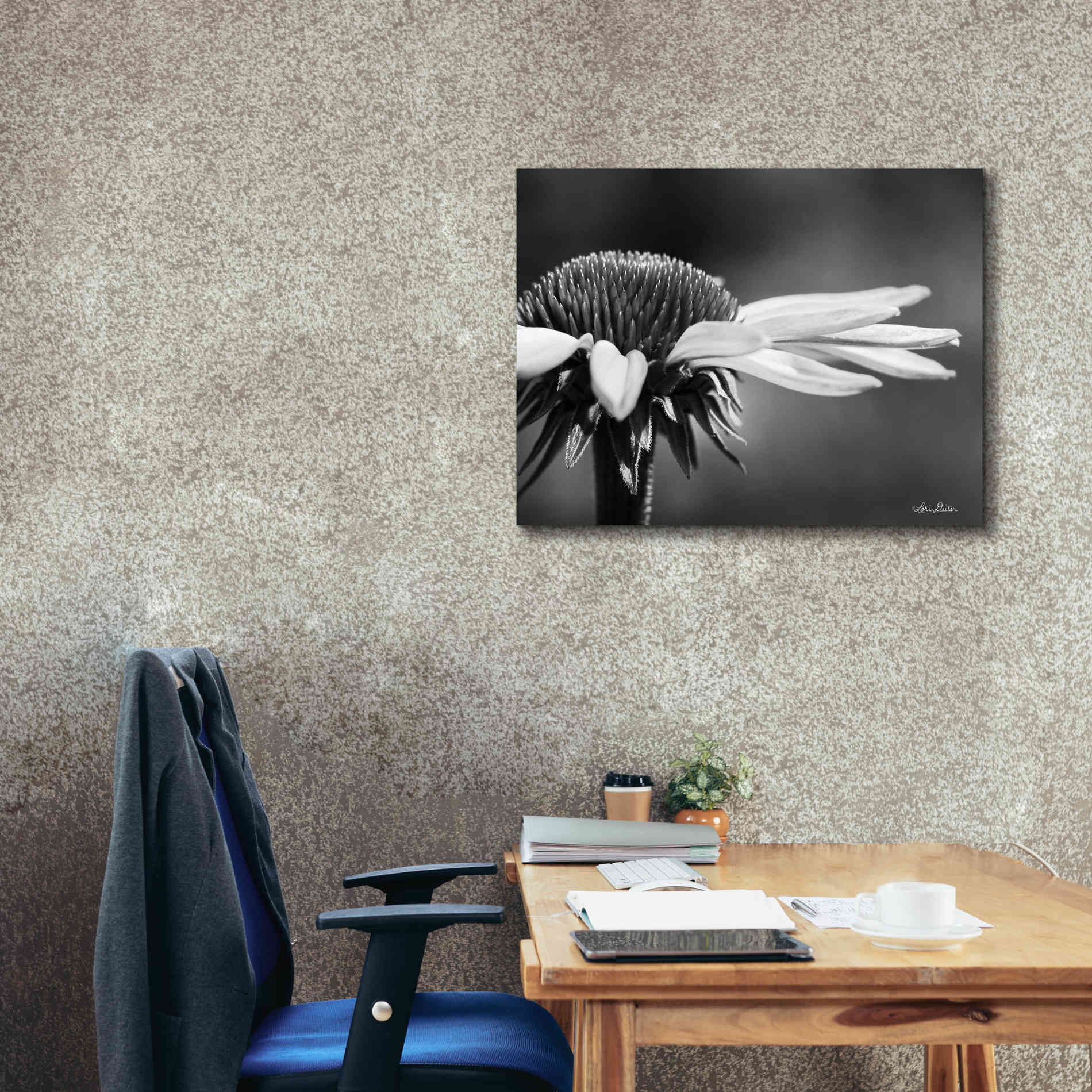 'Coneflower' by Lori Deiter, Canvas Wall Art,34 x 26