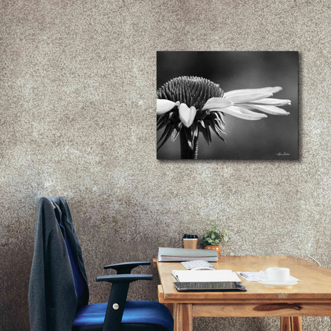 Image of 'Coneflower' by Lori Deiter, Canvas Wall Art,34 x 26