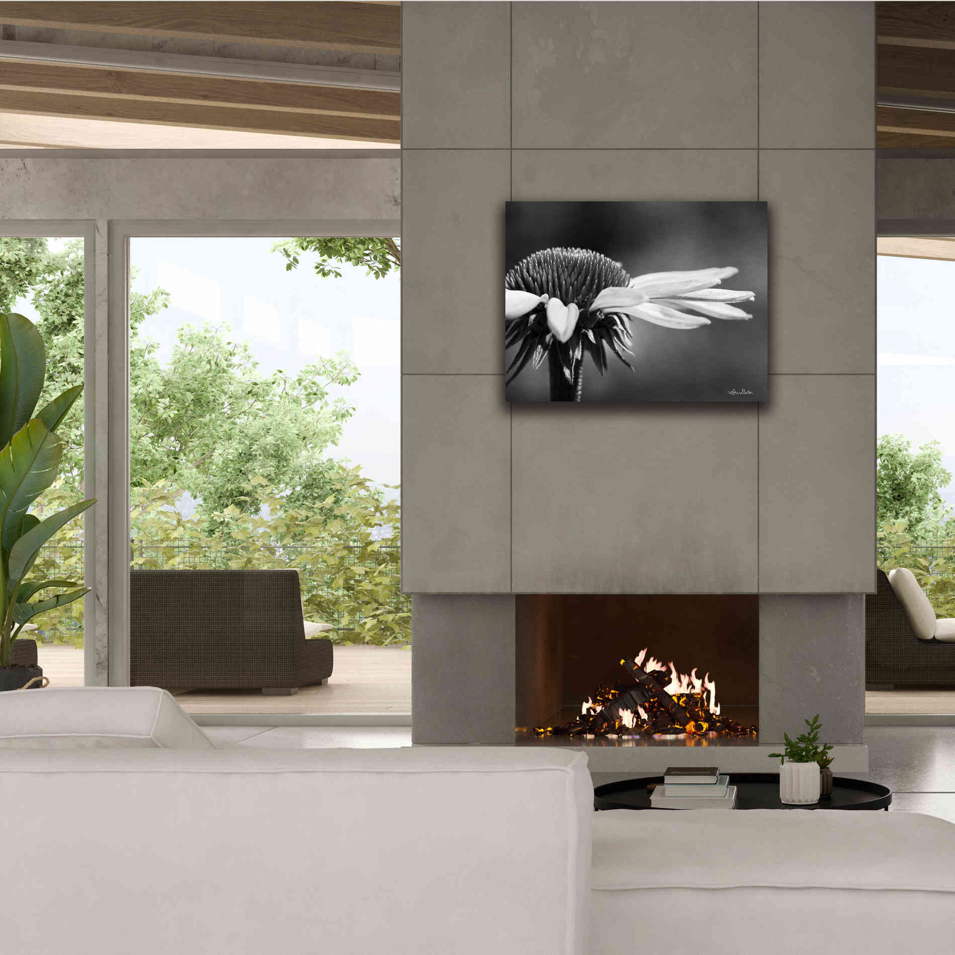 'Coneflower' by Lori Deiter, Canvas Wall Art,34 x 26