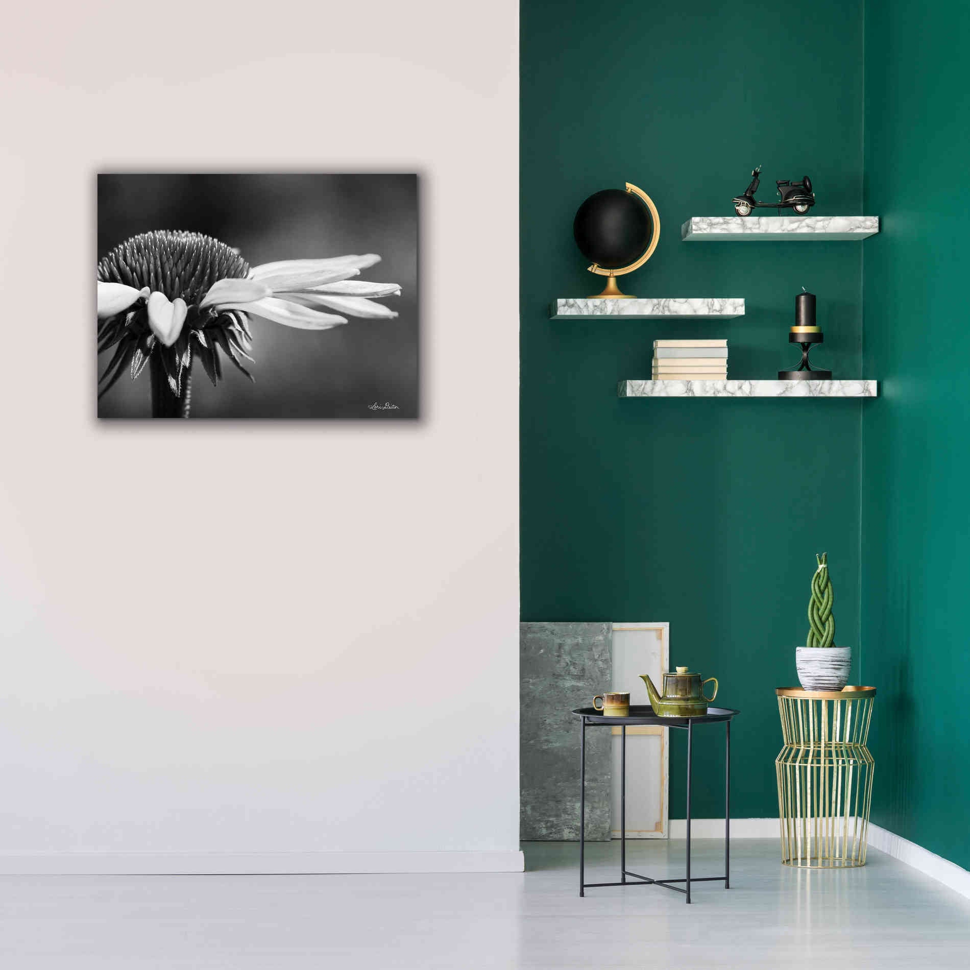 'Coneflower' by Lori Deiter, Canvas Wall Art,34 x 26