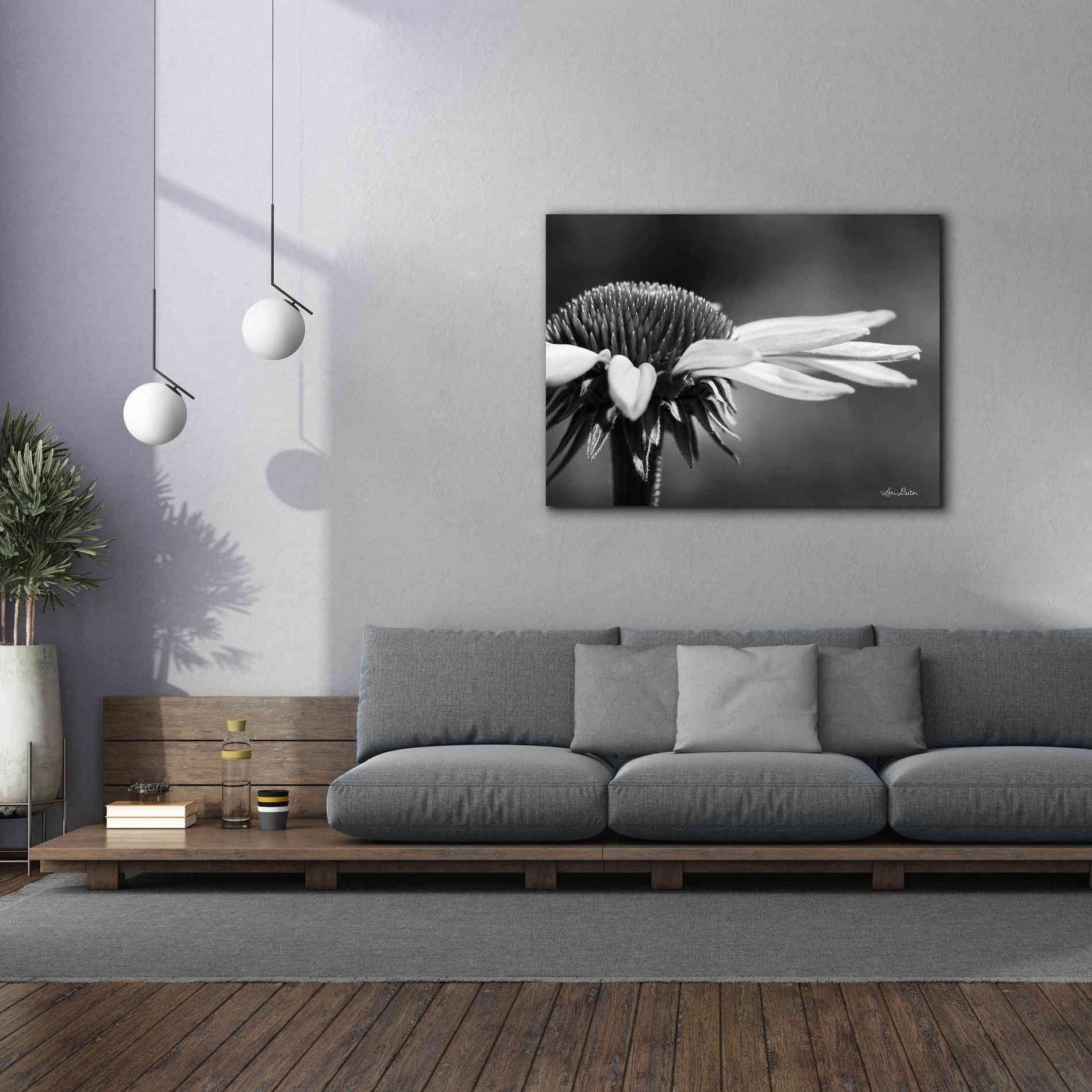 'Coneflower' by Lori Deiter, Canvas Wall Art,54 x 40