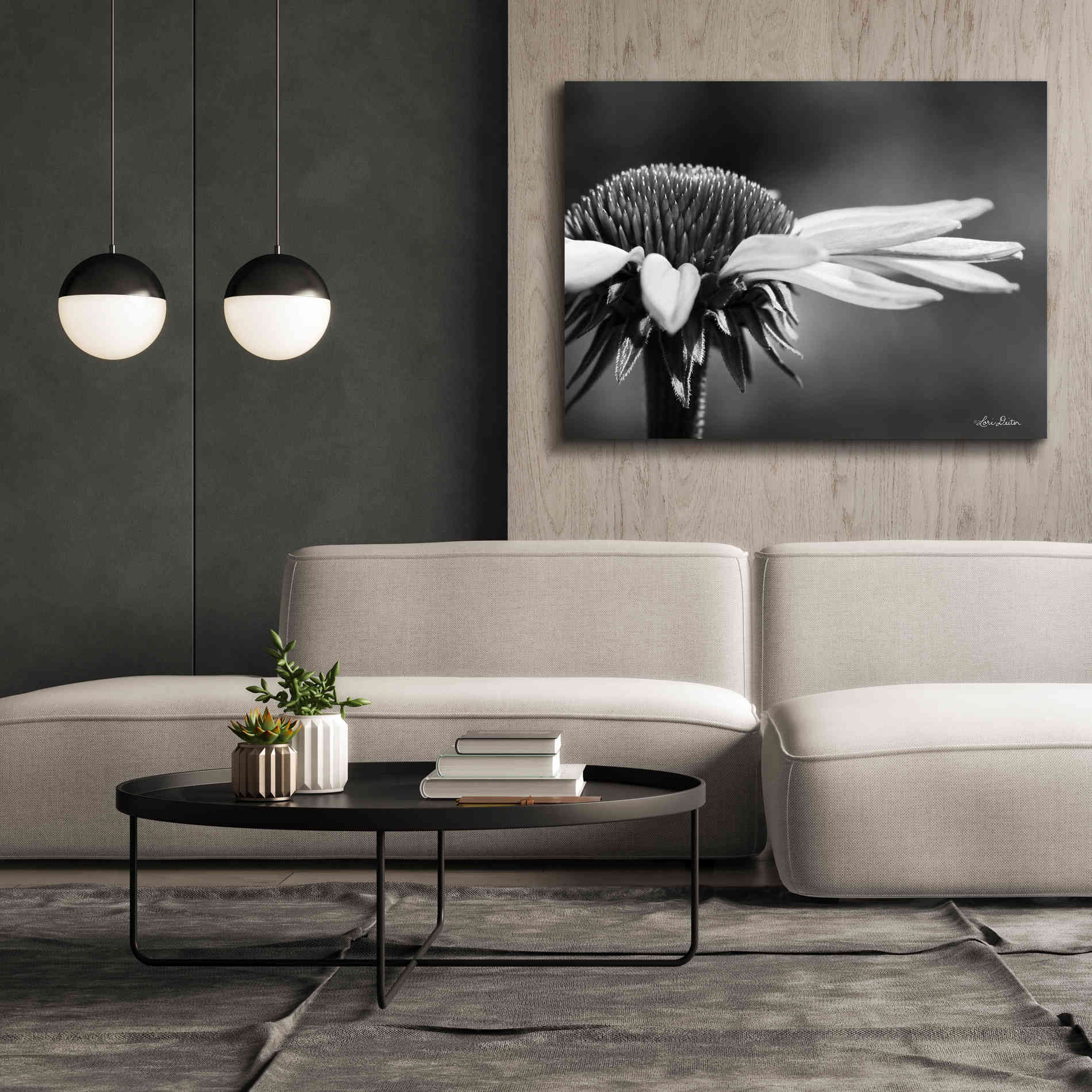 'Coneflower' by Lori Deiter, Canvas Wall Art,54 x 40
