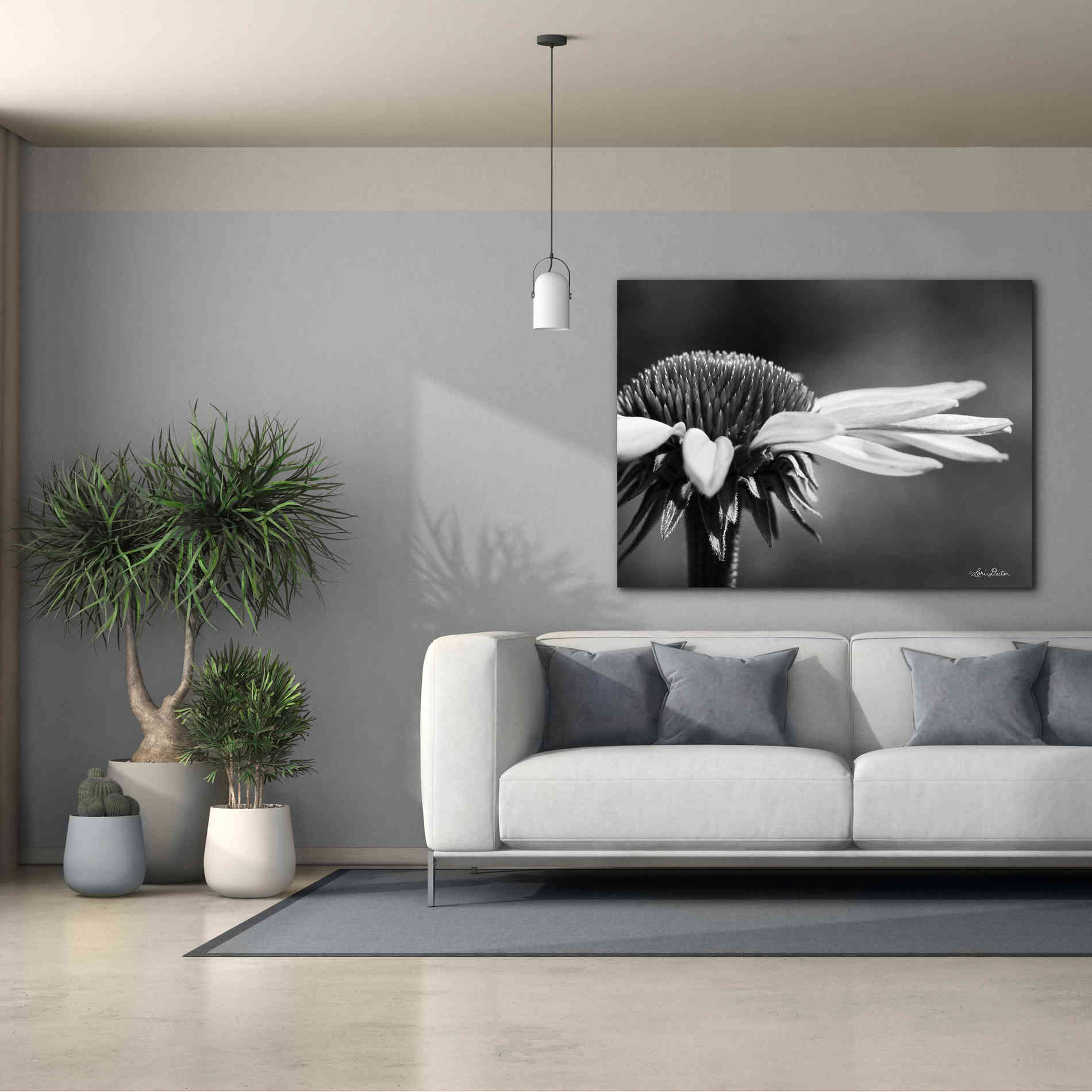 'Coneflower' by Lori Deiter, Canvas Wall Art,54 x 40