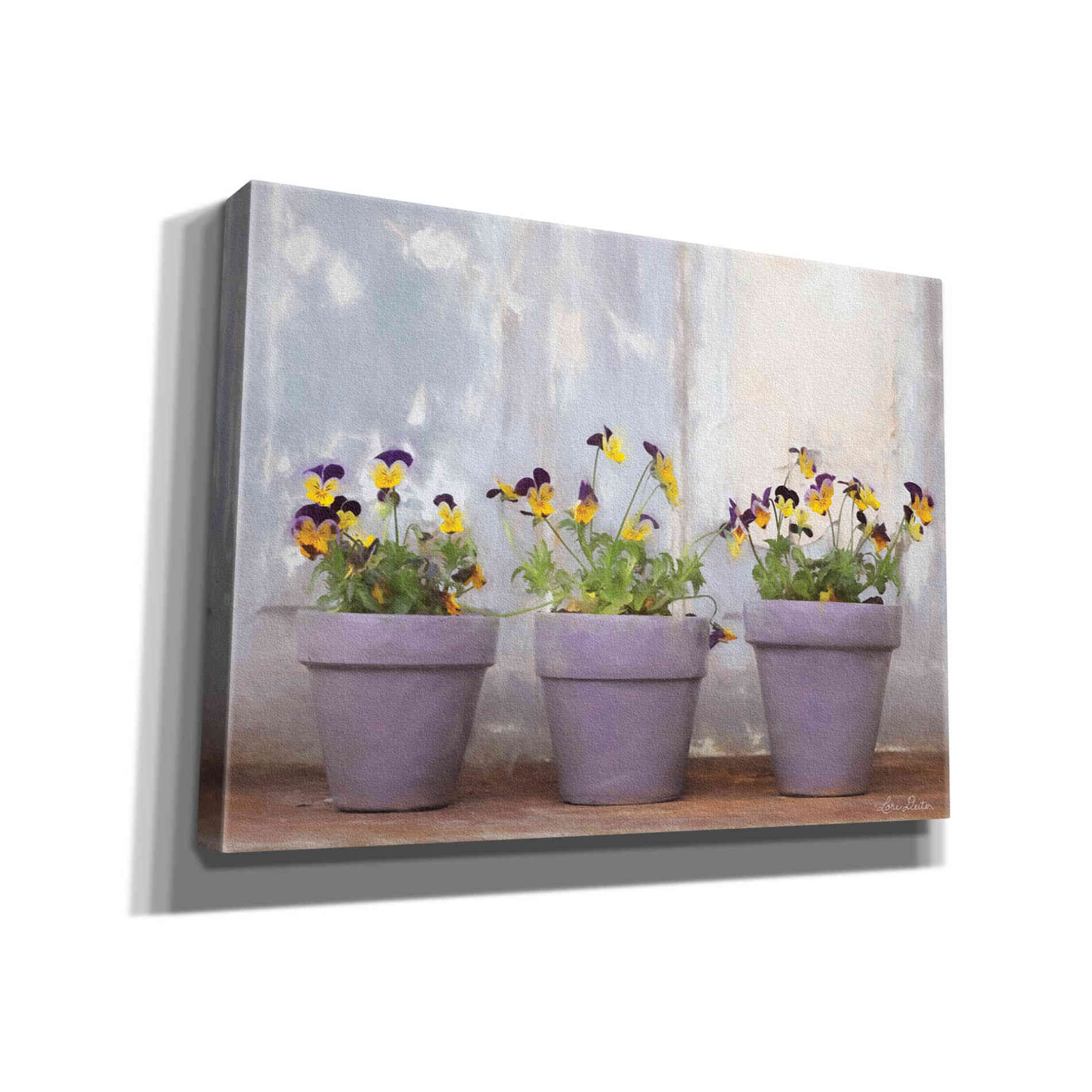 'Pansy Still Life I' by Lori Deiter, Canvas Wall Art