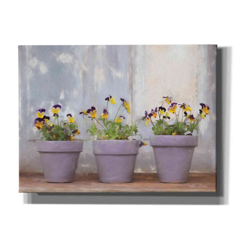 Image of 'Pansy Still Life I' by Lori Deiter, Canvas Wall Art