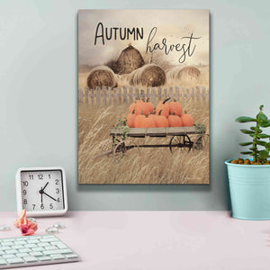 'Autumn Harvest' by Lori Deiter, Canvas Wall Art,12 x 16