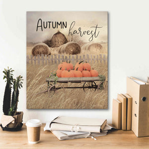 'Autumn Harvest' by Lori Deiter, Canvas Wall Art,20 x 24