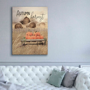 'Autumn Harvest' by Lori Deiter, Canvas Wall Art,40 x 54