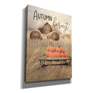 'Autumn Harvest' by Lori Deiter, Canvas Wall Art