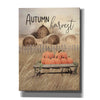 'Autumn Harvest' by Lori Deiter, Canvas Wall Art