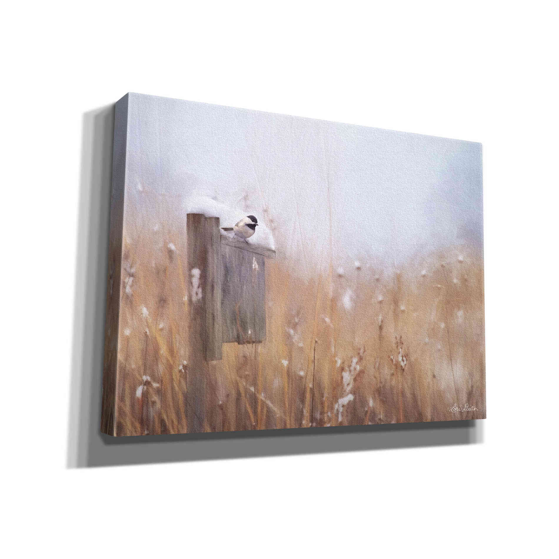 'Countdown Til Spring' by Lori Deiter, Canvas Wall Art