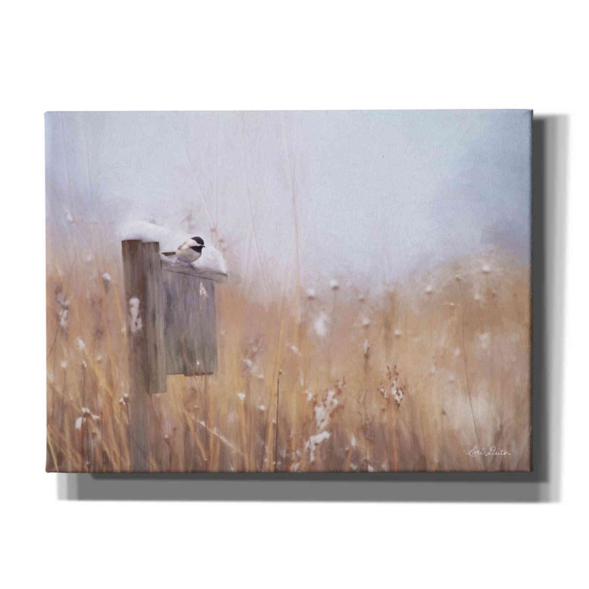 'Countdown Til Spring' by Lori Deiter, Canvas Wall Art