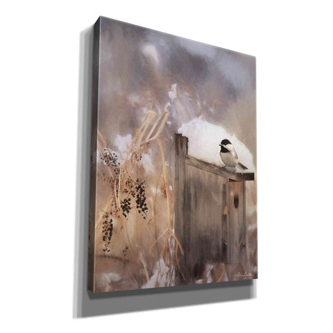 Image of 'Three Weeks Til Spring' by Lori Deiter, Canvas Wall Art