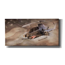'Freedom Fighter' by Lori Deiter, Canvas Wall Art