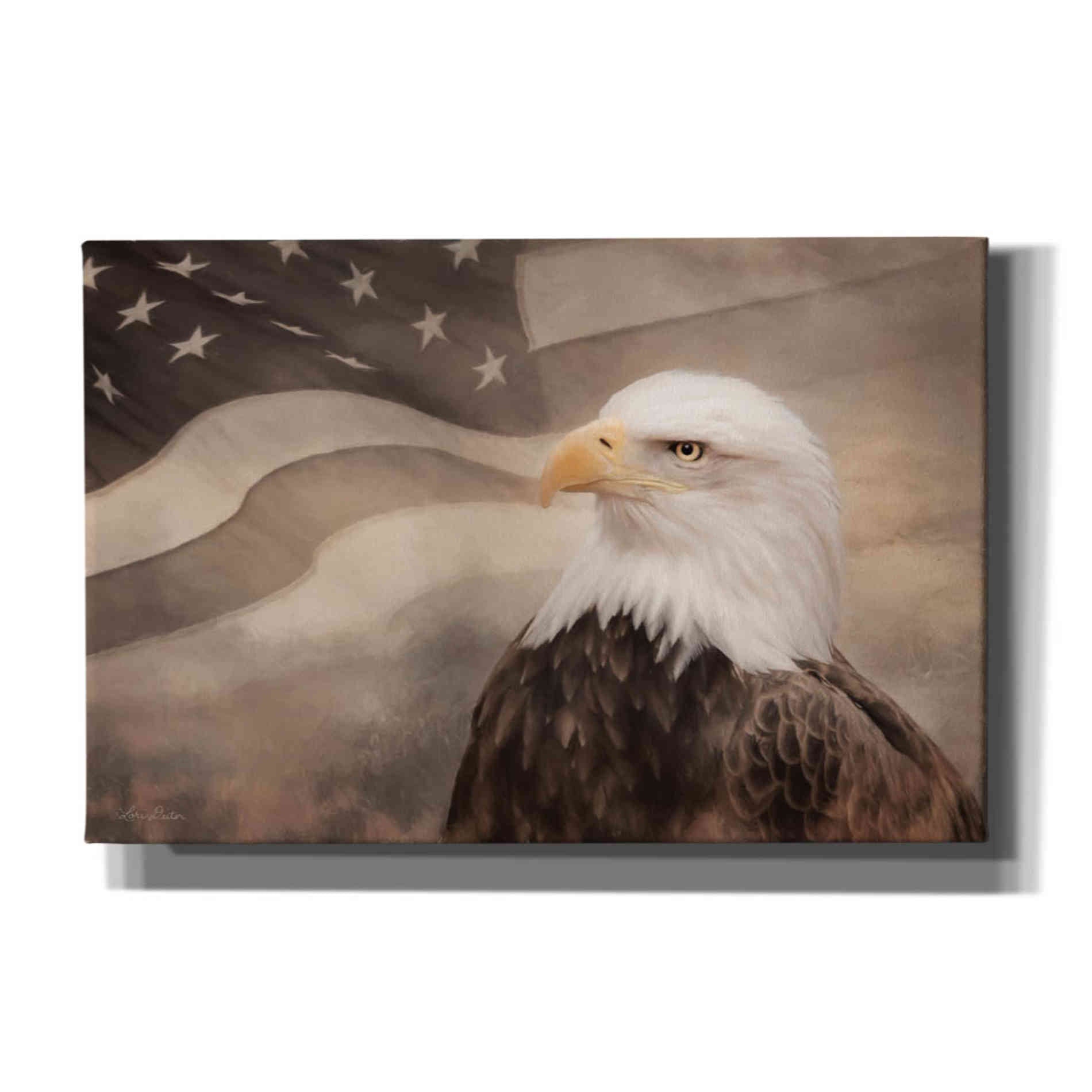 'US Symbols' by Lori Deiter, Canvas Wall Art