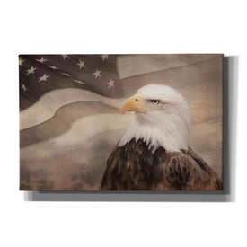 'US Symbols' by Lori Deiter, Canvas Wall Art