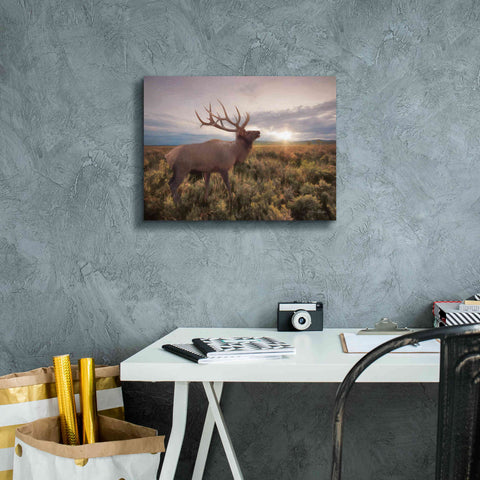 Image of 'Jackson Sunrise with Elk' by Lori Deiter, Canvas Wall Art,16 x 12