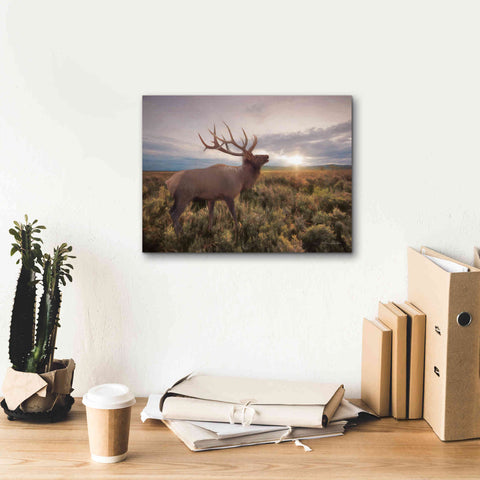 Image of 'Jackson Sunrise with Elk' by Lori Deiter, Canvas Wall Art,16 x 12