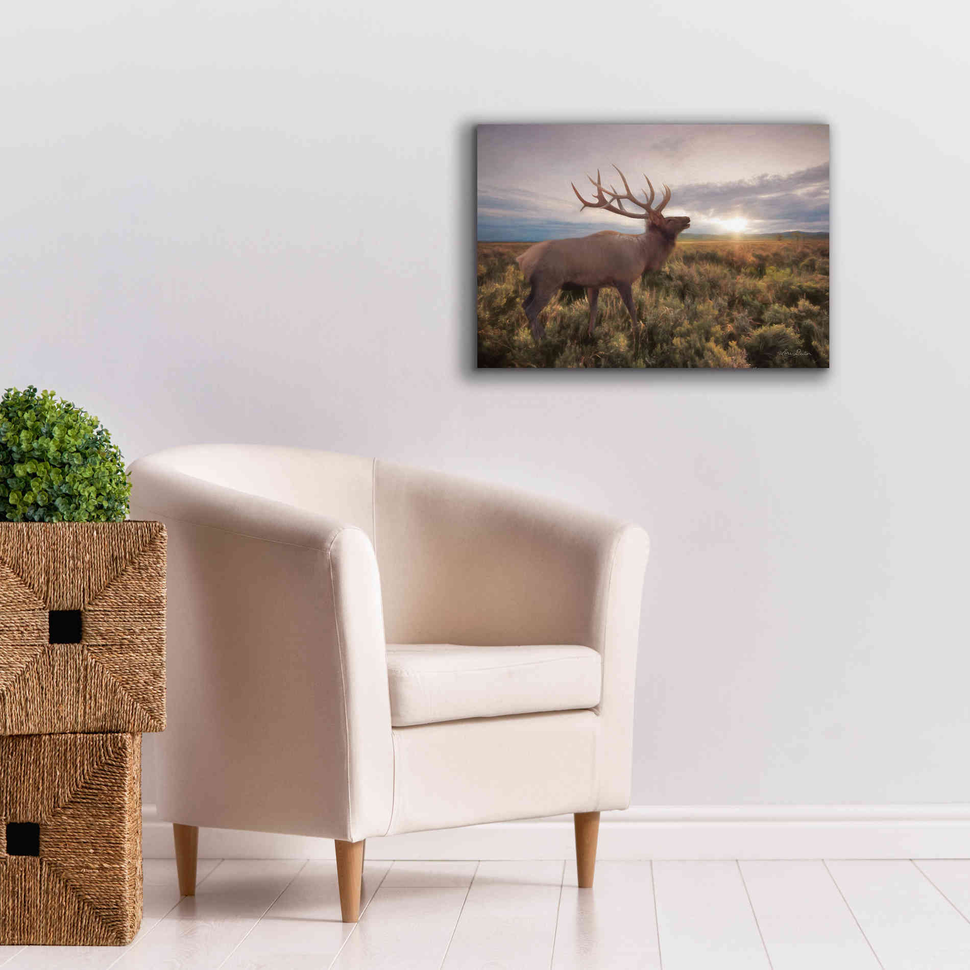 'Jackson Sunrise with Elk' by Lori Deiter, Canvas Wall Art,26 x 18