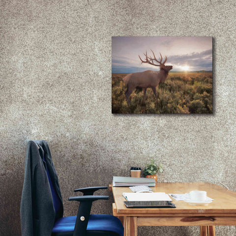 Image of 'Jackson Sunrise with Elk' by Lori Deiter, Canvas Wall Art,34 x 26