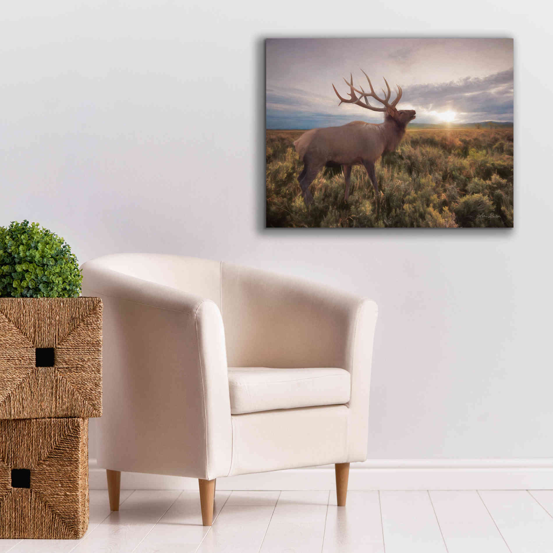 'Jackson Sunrise with Elk' by Lori Deiter, Canvas Wall Art,34 x 26