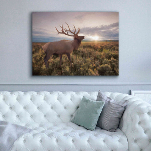 Image of 'Jackson Sunrise with Elk' by Lori Deiter, Canvas Wall Art,54 x 40