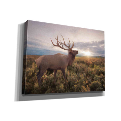 Image of 'Jackson Sunrise with Elk' by Lori Deiter, Canvas Wall Art