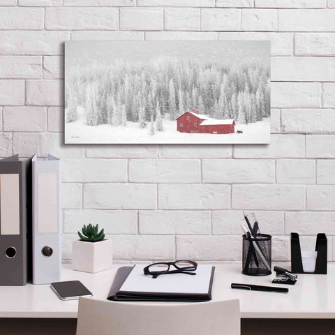 Image of 'Old Wyoming Barn' by Lori Deiter, Canvas Wall Art,24 x 12