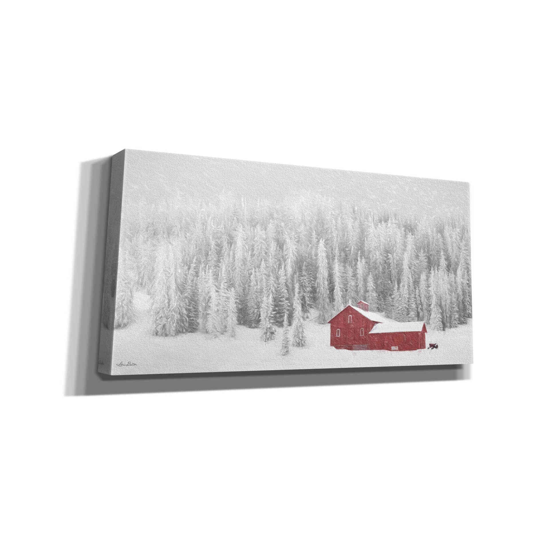 'Old Wyoming Barn' by Lori Deiter, Canvas Wall Art