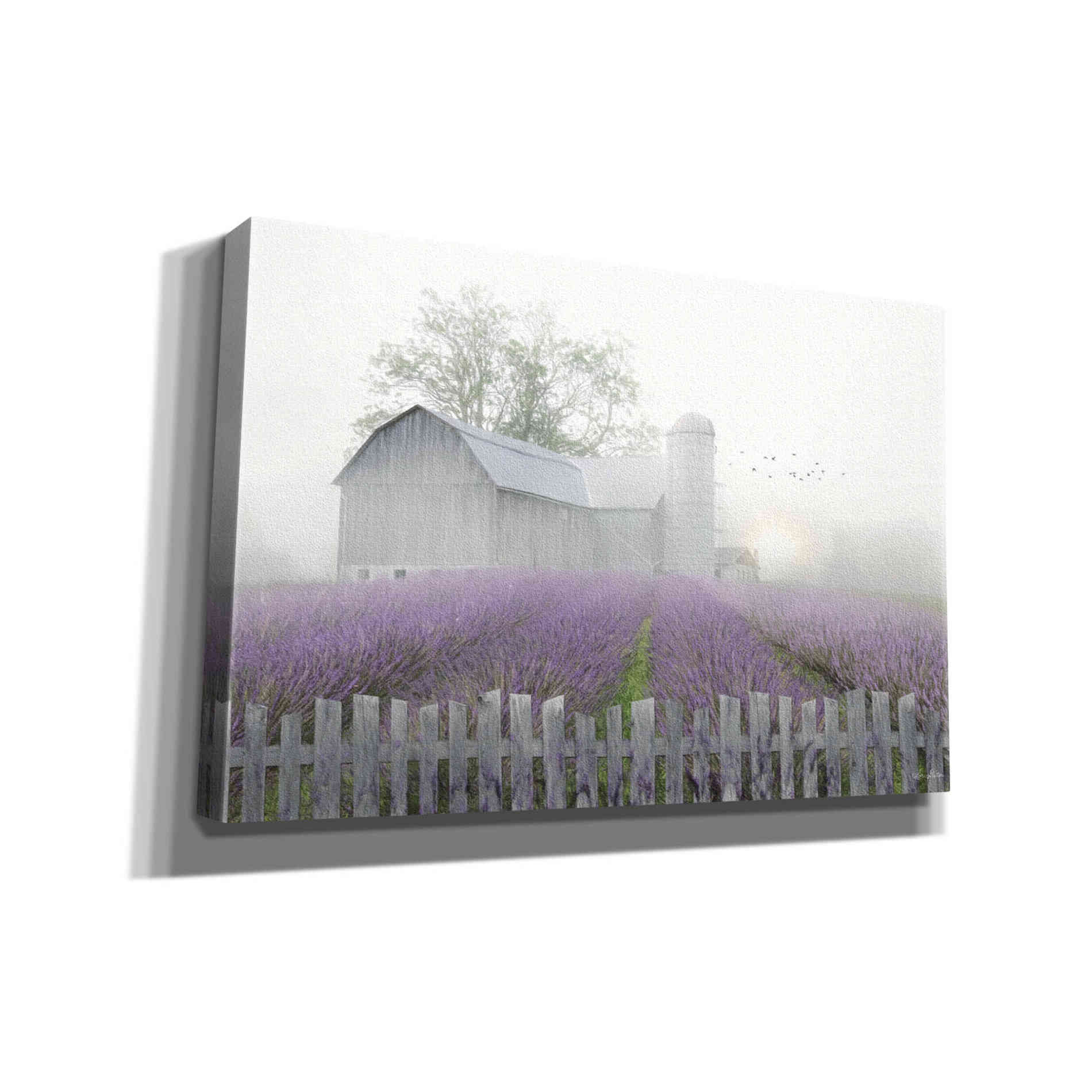 'Summer Blessings' by Lori Deiter, Canvas Wall Art