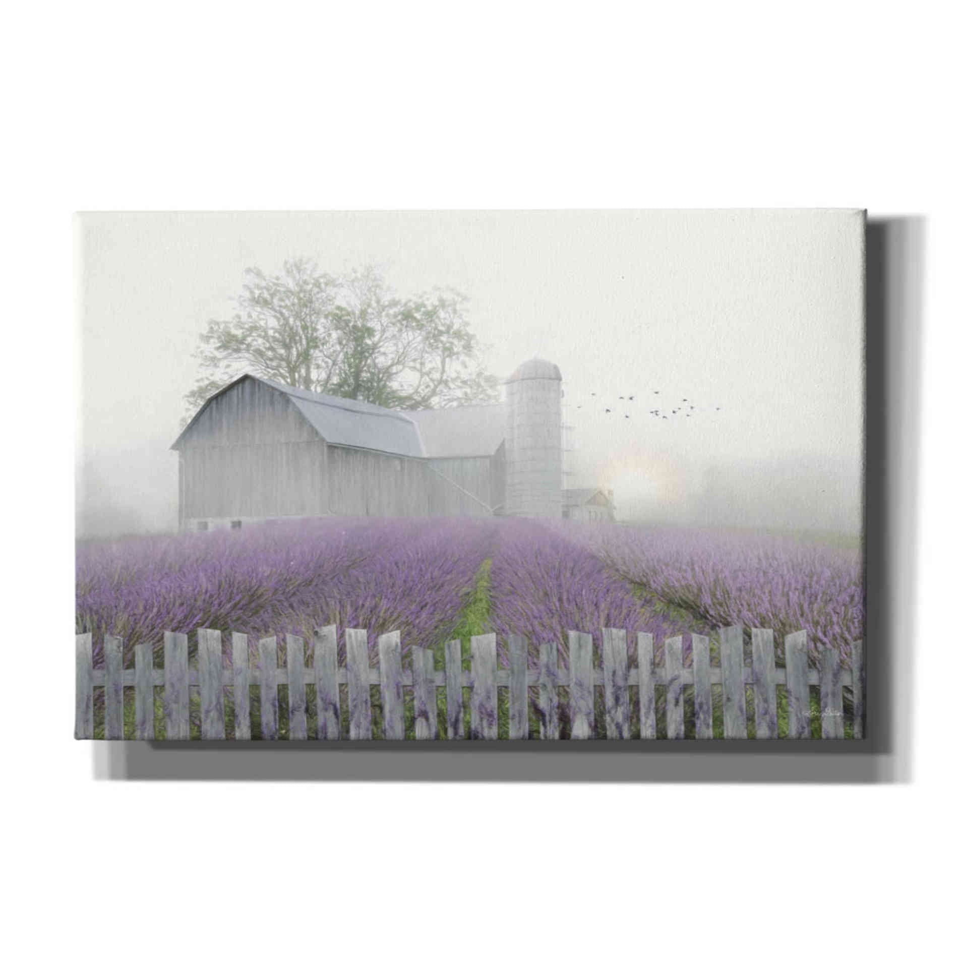 'Summer Blessings' by Lori Deiter, Canvas Wall Art