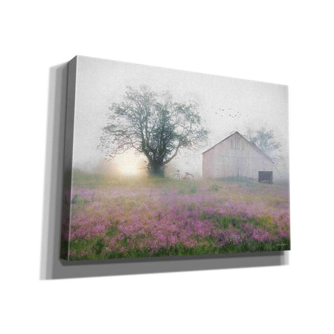 Image of 'Summer Sunrise' by Lori Deiter, Canvas Wall Art
