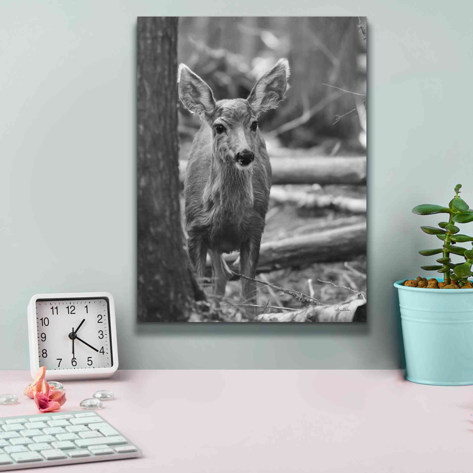 'Rocky Mountains Deer' by Lori Deiter, Canvas Wall Art,12 x 16