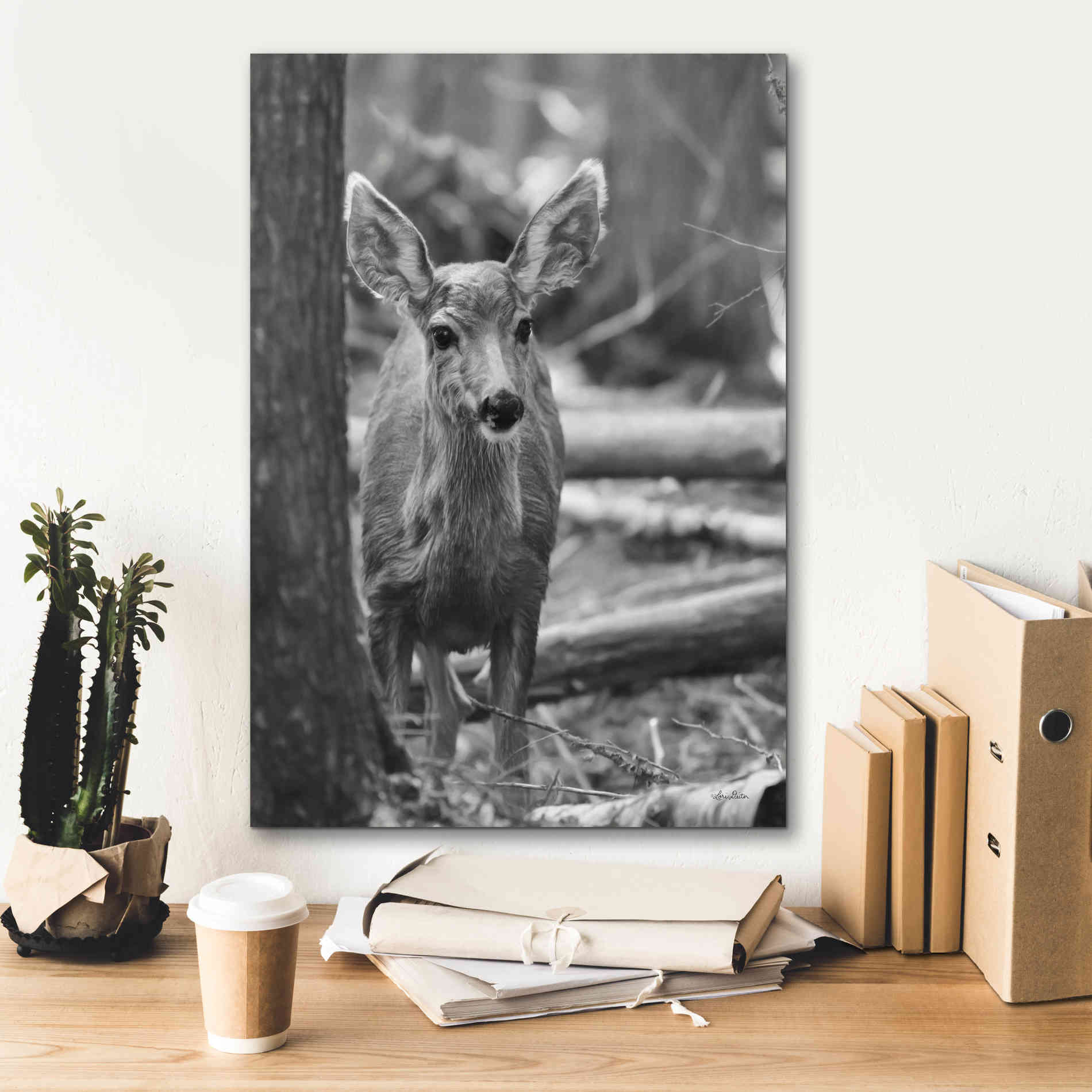 'Rocky Mountains Deer' by Lori Deiter, Canvas Wall Art,18 x 26