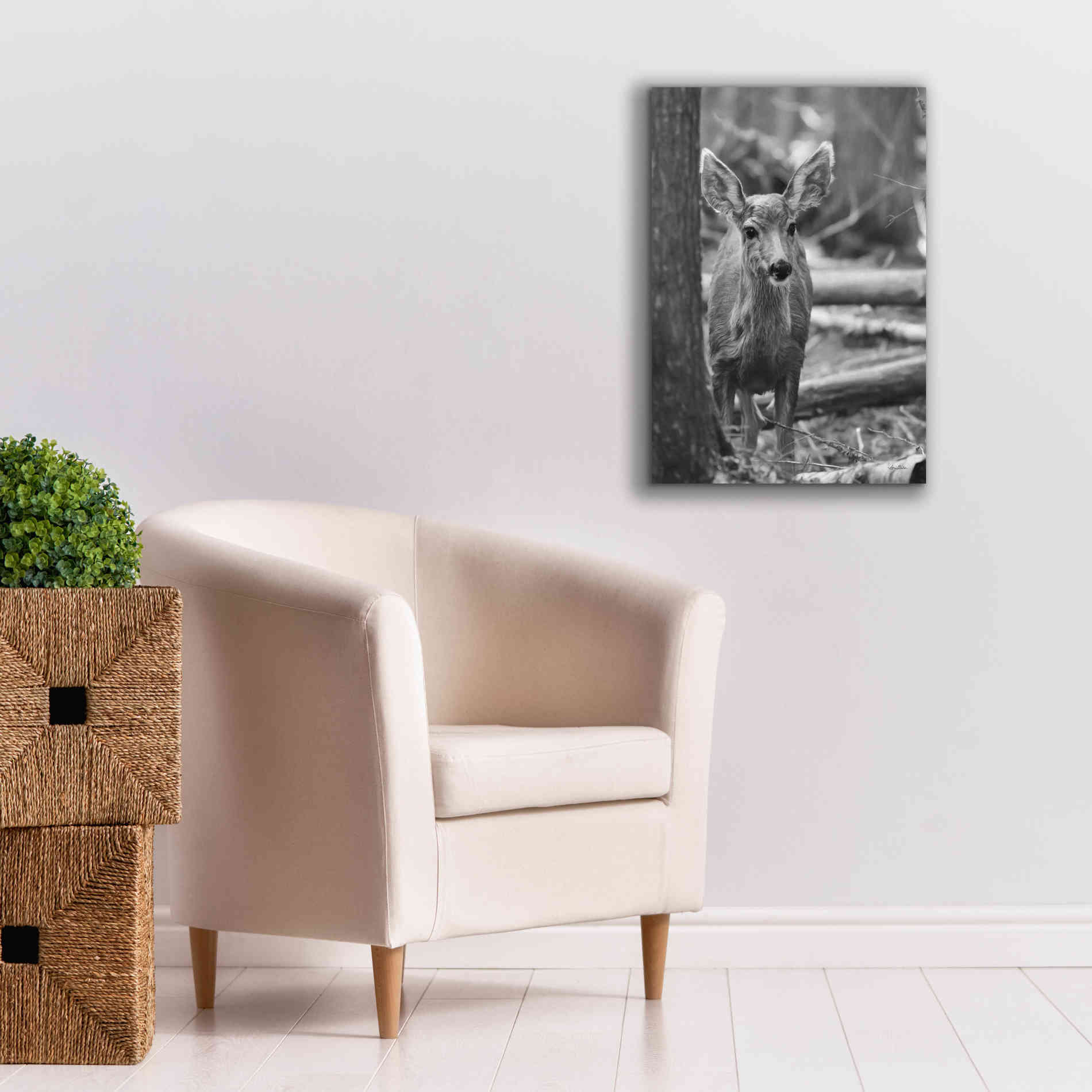 'Rocky Mountains Deer' by Lori Deiter, Canvas Wall Art,18 x 26