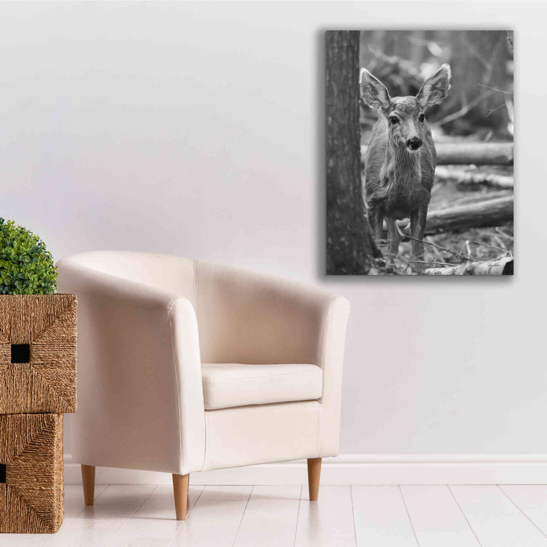 'Rocky Mountains Deer' by Lori Deiter, Canvas Wall Art,26 x 34