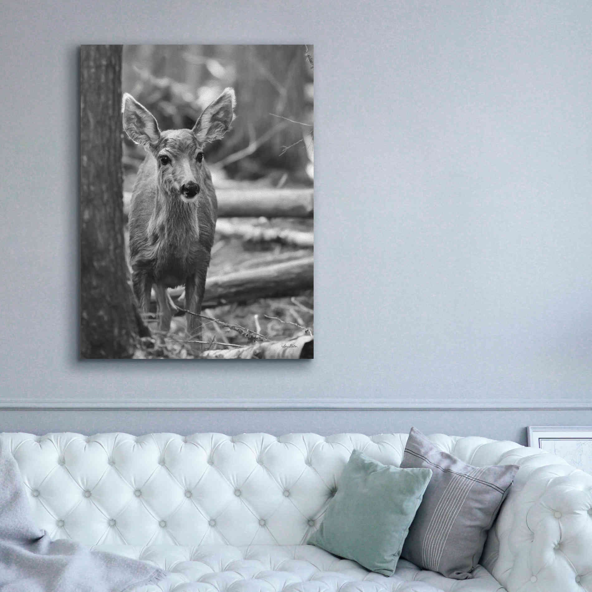 'Rocky Mountains Deer' by Lori Deiter, Canvas Wall Art,40 x 54