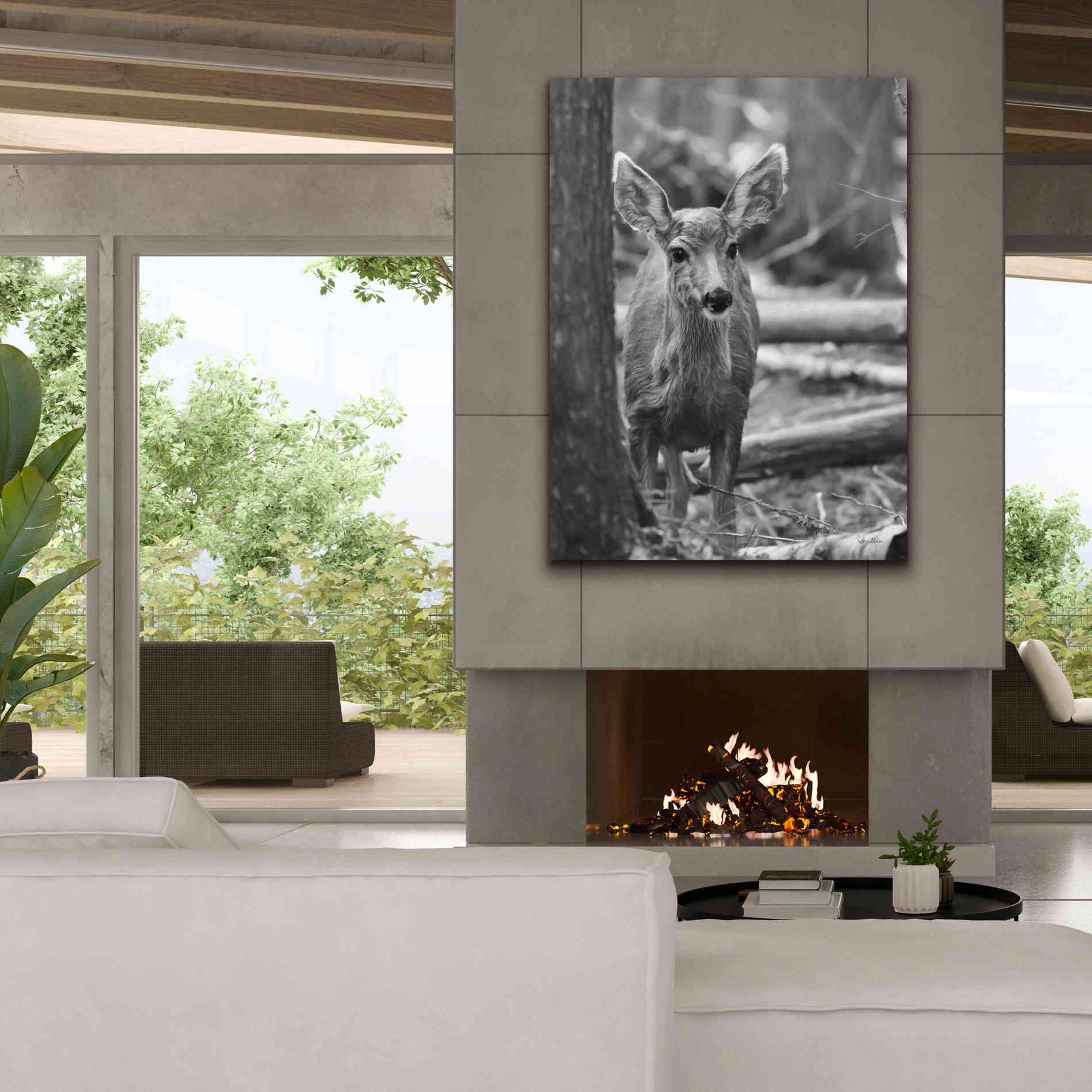 'Rocky Mountains Deer' by Lori Deiter, Canvas Wall Art,40 x 54