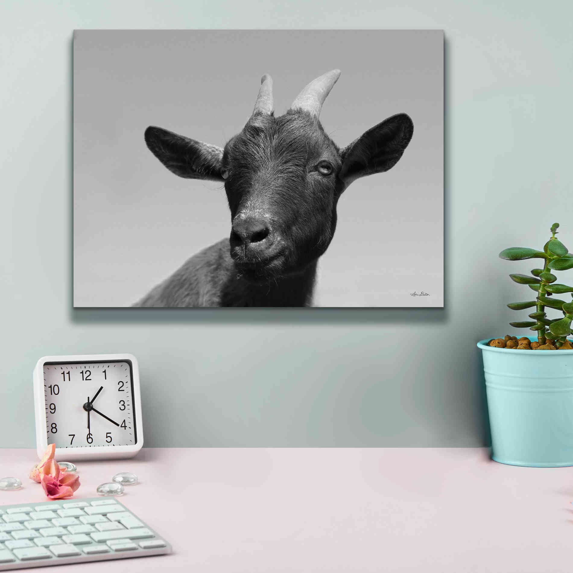 'Lake Tobias Goat I' by Lori Deiter, Canvas Wall Art,16 x 12